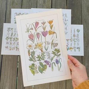 Vintage floral prints set of 8